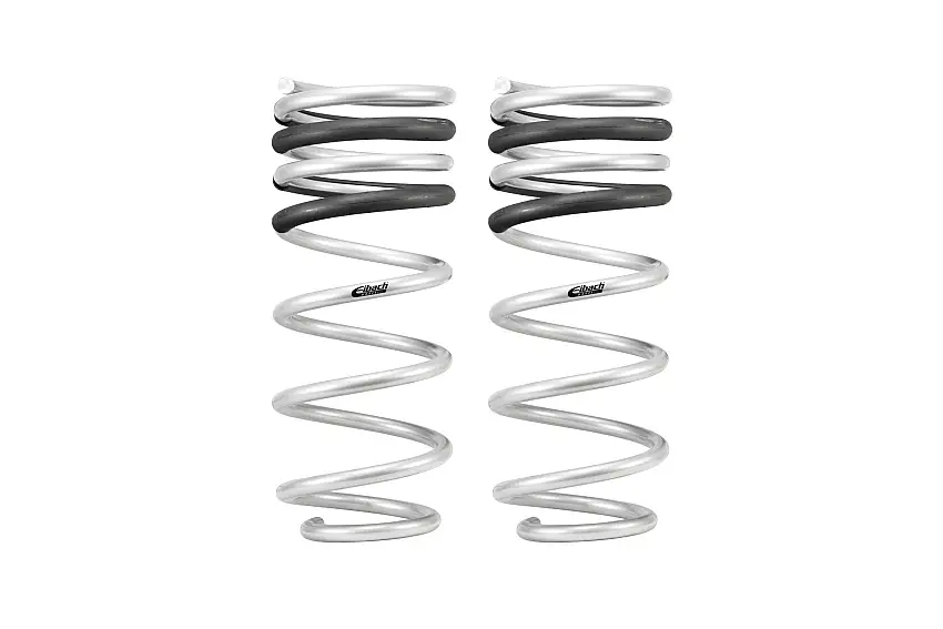 Pro-Lift-Kit Rear HD Springs w/1" lift